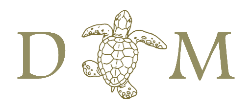 tortuguíta
